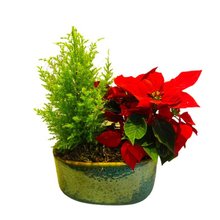 Coquetel Mix 5 Vaso Cerâmica