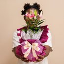 Lírio Rosa Embalado