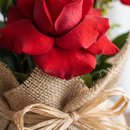 Trio de Rosas Clean
