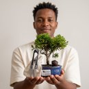Bonsai Junípero Shimpaku 2 anos - Kit