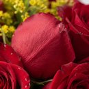 Buque de rosas tradicional 