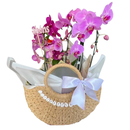 Bolsa de Palha por Amor