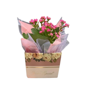 Box Mini Flores