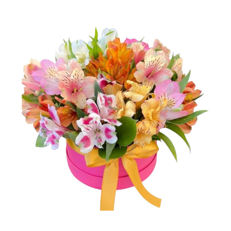 Box florecer