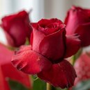 Buquê elegante com 06 Rosas Vermelhas 