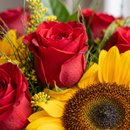 Buquê Clássico Girassol com Rosas