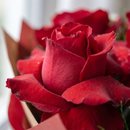 Buquê Amor Clássico com Rosas e Raffaello