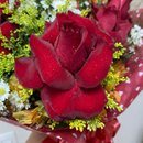 Buquê Encanto de 10 Rosas Vermelhas