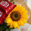 Buquê de Girassois com Kit Kat