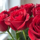 Buquê Classico 50 Rosas Vermelhas 
