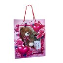 Bolsa Florescer