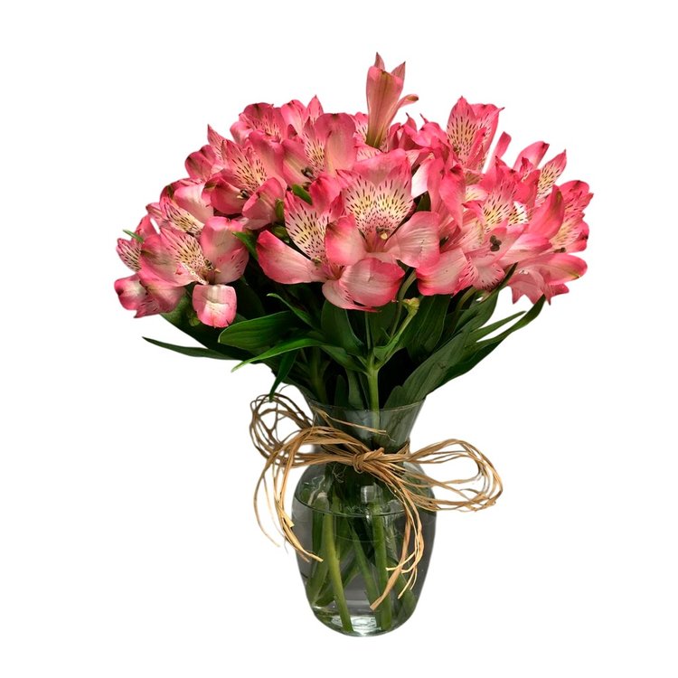 Arranjo de Astromelias Cor de Rosa