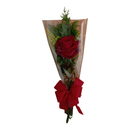 Amor de Rosa Vermelha