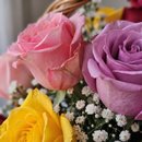 Cesta com 24 rosas coloridas