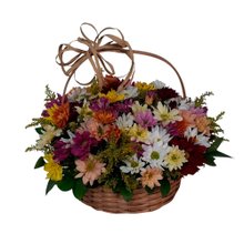 Cesta de Margaridas Coloridas