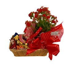 Cesta com Bombons e Kalandiva