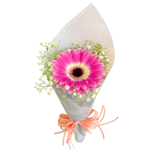 Lindo Solitário de Gérbera