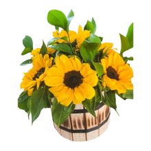 Cachepô de Madeira com 8 Girassóis 