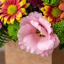 Arranjo Flores Cores da Estação