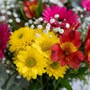 Buquê Flores do Campo Alegria do Dia Clássico