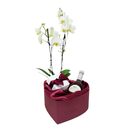 Coração e Flores 
