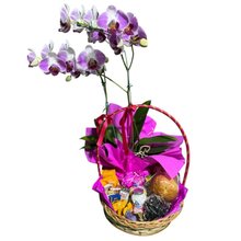 Cesta de Café da Manhã Brasília com Orquídea