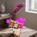 Orquídea Phalaenopsis com Ferrero Rocher