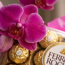 Orquídea Phalaenopsis com Ferrero Rocher