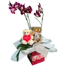 Orquídea com Ferrero Rocher e Ursinho de Pelúcia