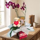Orquídea com Ferrero Rocher e Ursinho de Pelúcia