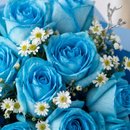 Buquê com 15 Rosas Azuis