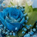 Arranjo com Rosa Azul