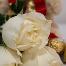 3 Rosas com Ferrero Rocher e Pelúcia