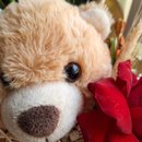 Ramalhete Rosas e Urso
