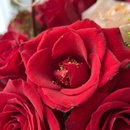 Cesta de Rosas 2 Cores