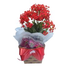 Flor da Fortuna com Coração de Bombons