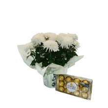 Vaso de Crisântemo Branco Com Ferrero Rocher