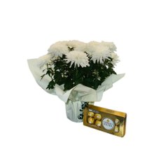 Vaso de Crisântemo Branco e Ferrero Rocher