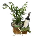 Folhagem e Vinho DV Catena