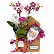 Box Orquídea Super Mãe com Caneca