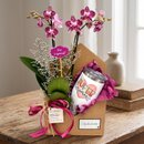 Box Orquídea Super Mãe com Caneca