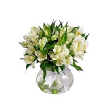 Arranjo de Astromélias em Vaso de Vidro