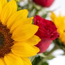 Buquê de  Rosas Girassois