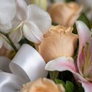 Arranjo de Orquídea Mix
