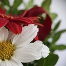 Buquê de Flores do Campo com Gérberas 