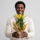 Lírio Amarelo Plantado em Vaso