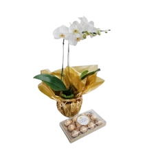 Orquídea Phalaenopsis Branca com Ferrero Rocher
