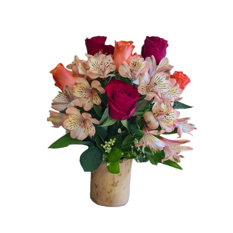 Frescor do Campo com 6 rosas
