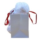 Pelúcia de Urso na Sacola com Flor