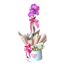 Orquídea com Ferrero Rocher no Box